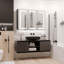 Mirrored Wardrobe