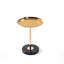 Ensemble de 2 petites tables d'appoint