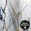 Rideau de douche abstrait Moonstruck par PI Creative Art