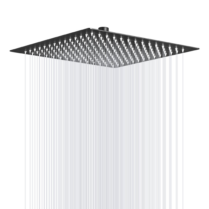 Rain Rain Shower Head 2.5 GPM GPM, Matte Black