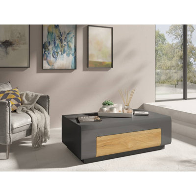 Leshay Solid Coffee Table with Storage