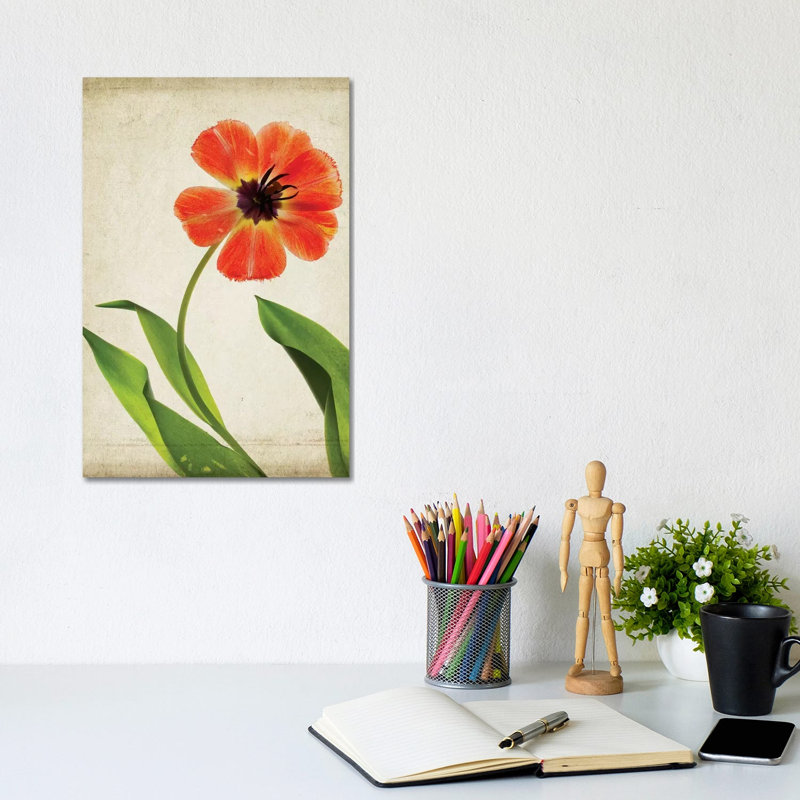 Parchment Flowers V by Judy Stalus - Wrapped Canvas Painting, 20.32 cm H x 30.48 cm W