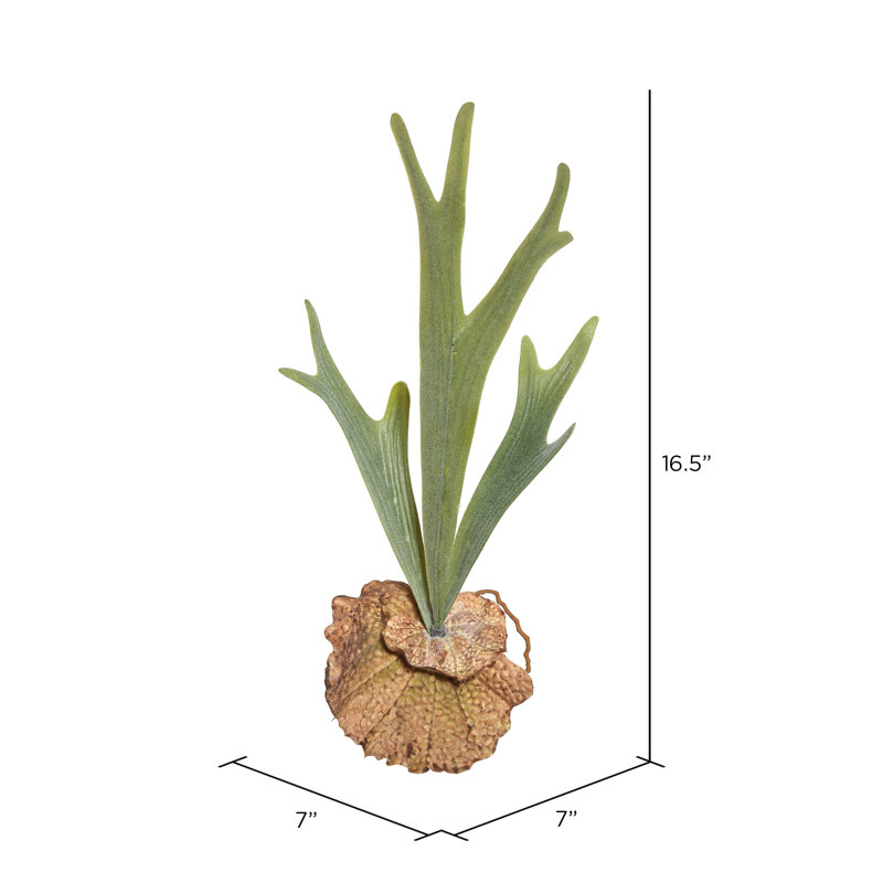 Artificial Staghorn Fern, 16.5" H x 7" W x 7" D
