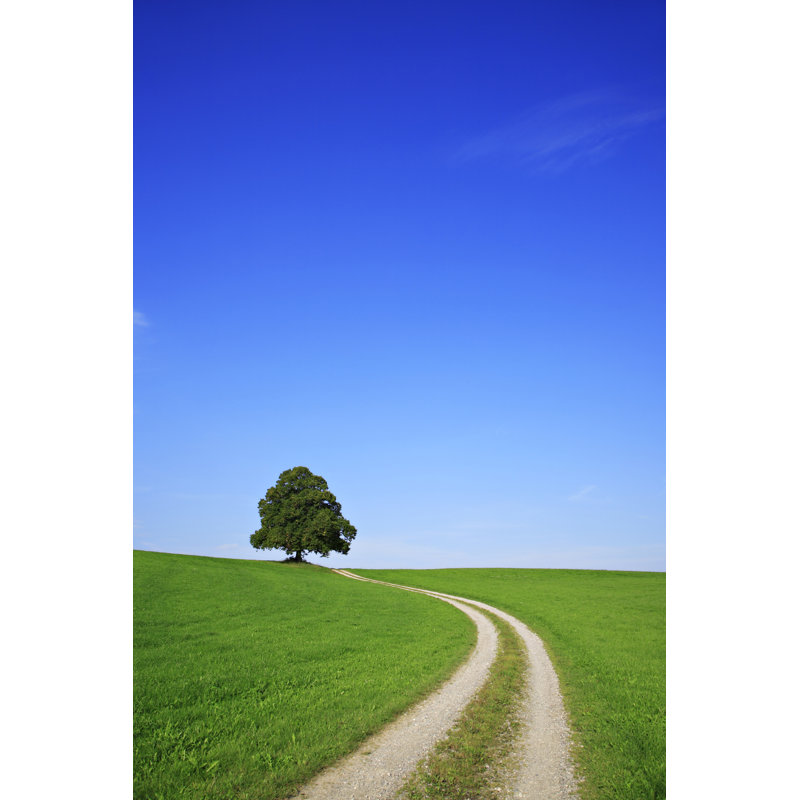 Rural Landscape by AVTG - No Frame Art Prints on Canvas, 91cm H x 61cm W