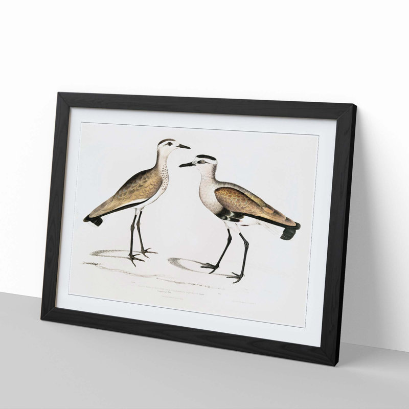 Two Sandpiper Birds by John Edward Gray - Picture Frame Painting Print, 27cm H x 36cm W x 2cm D, Black Framed