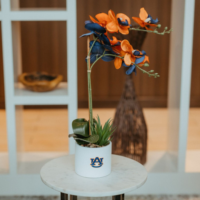 Arrangement floral orchidée dans un vase, Auburn
