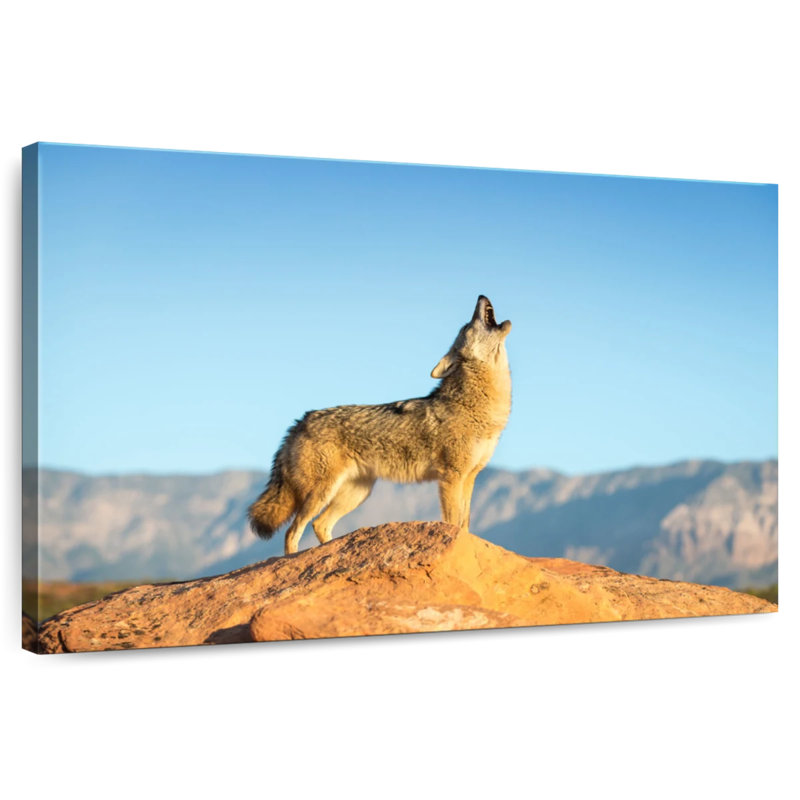 Howling Coyote, 34" H x 51" W