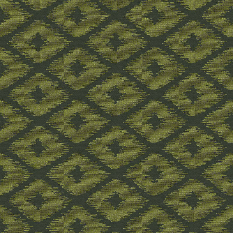 Tissu de cohorte, Olive