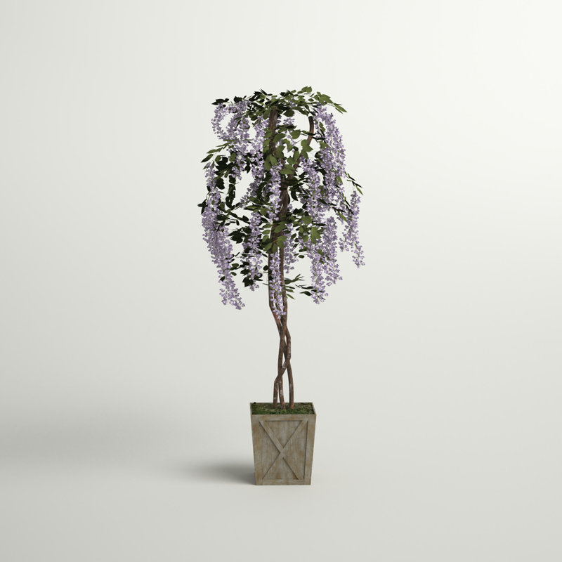 Plante de fleurs dans un pot