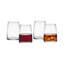Cora 14 oz. Stemless All-Purpose Glasses