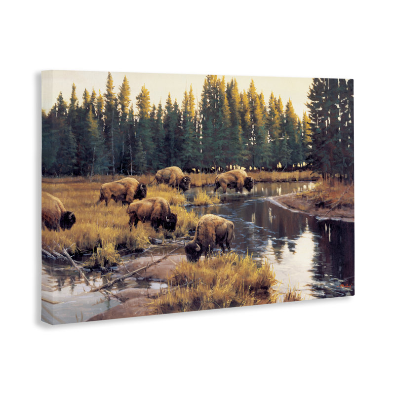 Toile de bison qui broute le long d'une rivière, conception de Paco Young, H 16 po x l 24 po