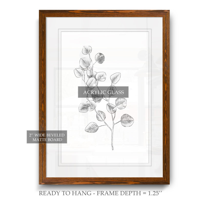 " Eucalyptus Sketch IV ", Maple Framed Print, 38" H x 28" W x 1.3" D