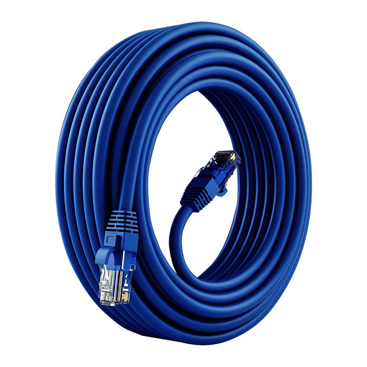 25 ft. Cat6 Ethernet Networking Cable in Blue