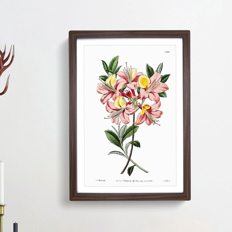 Pretty Pink Azalea Flowers - Picture Frame Painting Print, 48cm H x 36cm W x 2cm D, Walnut Framed