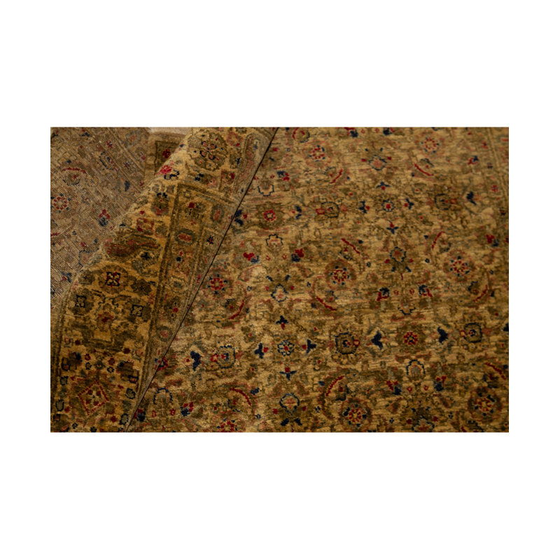 Marquis Wool Oriental Area Rug in Brown