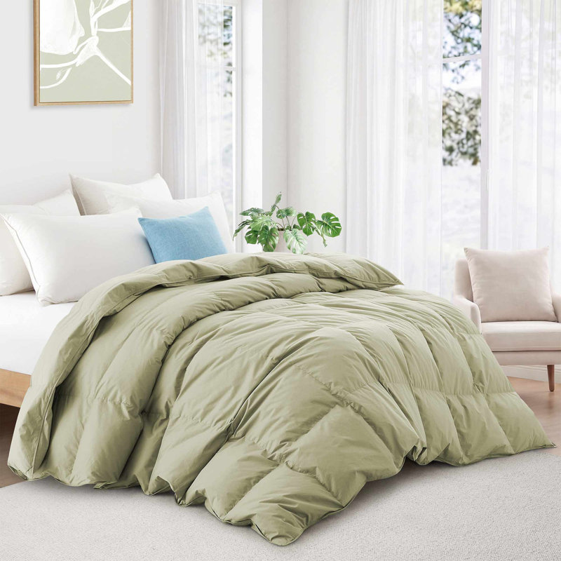 All Season Goose Feather and Down Comforter Cotton Duvet Insert with Premium 100% Cotton Cover, Sage Green, Cal King