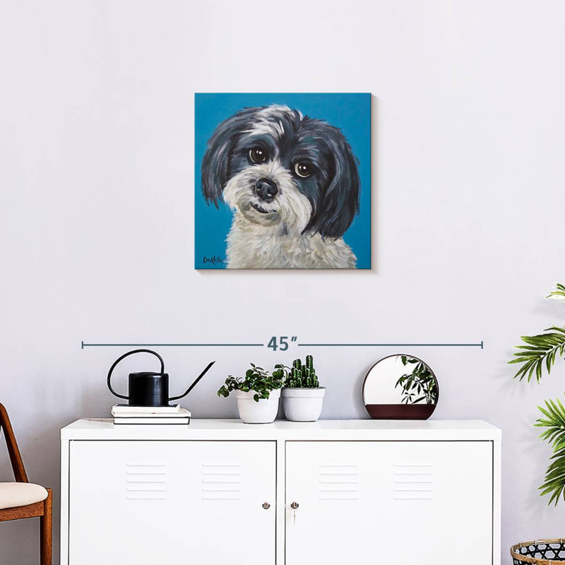 Corbeau maltais Shih Tzu, H 20 po x l 20 po