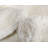 Carrie Ivory Area Rug-40287488