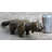 Marguriete Handcrafted Large Botero Cat Gato Feline Animal Bronze Sculpture Figurine Figure