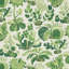 Exotic Butterfly Fabric-35103001