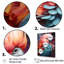 Plumes d'harmonie roses et bleues-933431137-933431142
