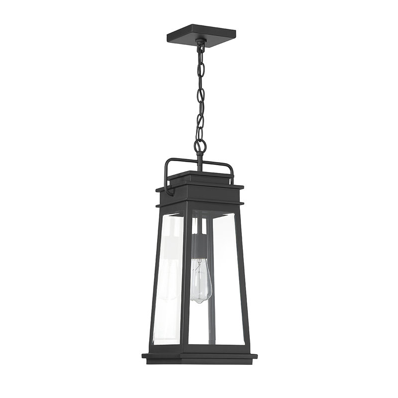 Boone 1-Light Eleana in Matte Black