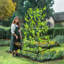 Cerciz 176cm H x 105cm W Metal Trellis