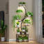 Plant Stand - Set of 10