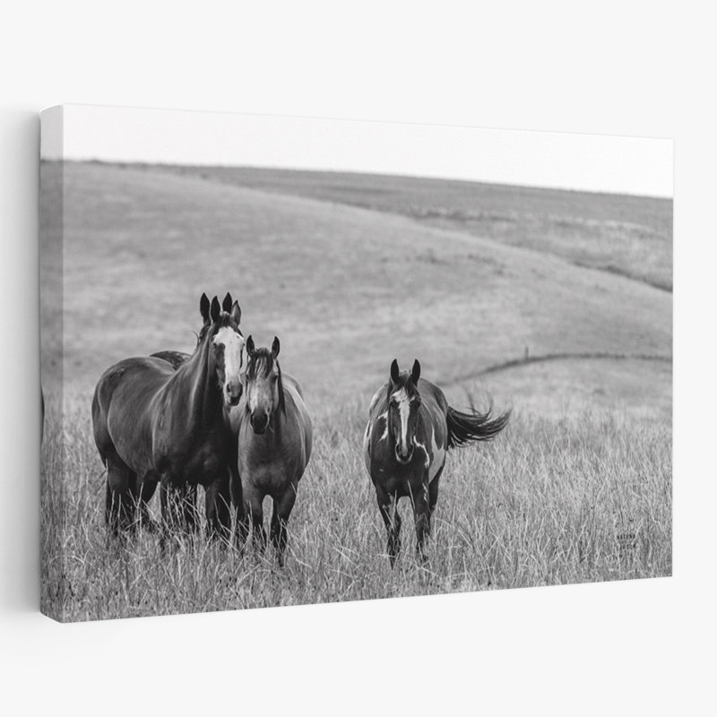 Contemporary Montana Moves Crop, H 48 po x l 32 po