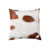 White/Light Brown