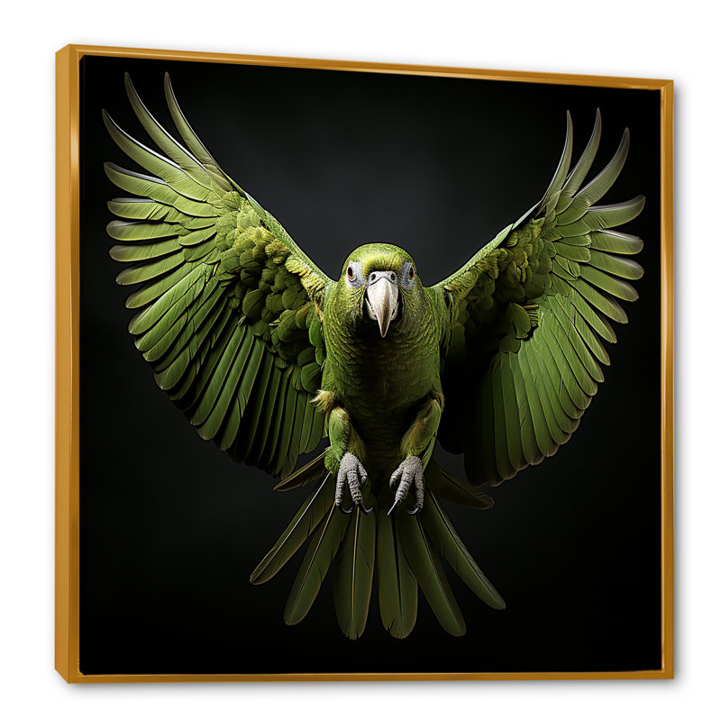 «Eernal Winged Elegance», art mural sur toile perroquet, Cadre flottant doré, H 30 po x l 30 po