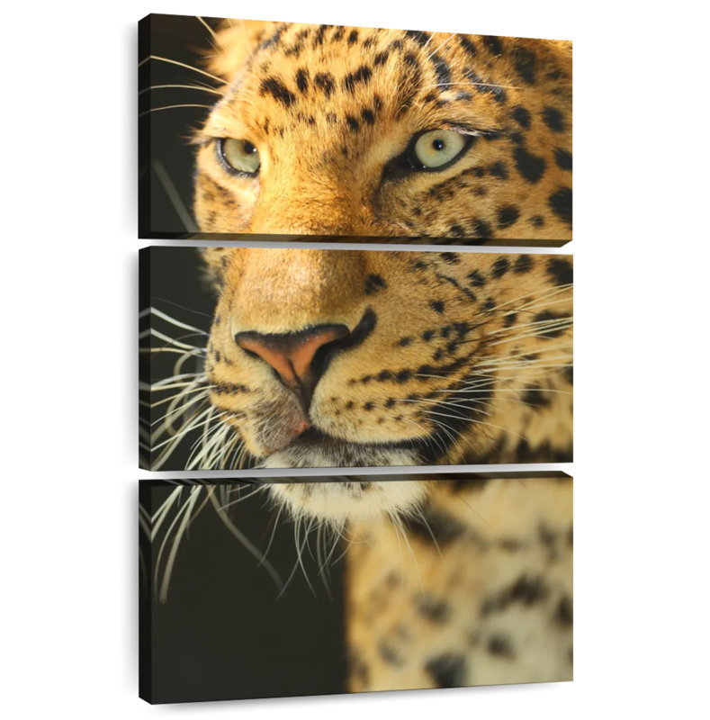 Brampt Majestic Cheetah, 50" H x 32" W