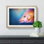 Pink Snapper Fish - Picture Frame Painting Print-55584078-55584081