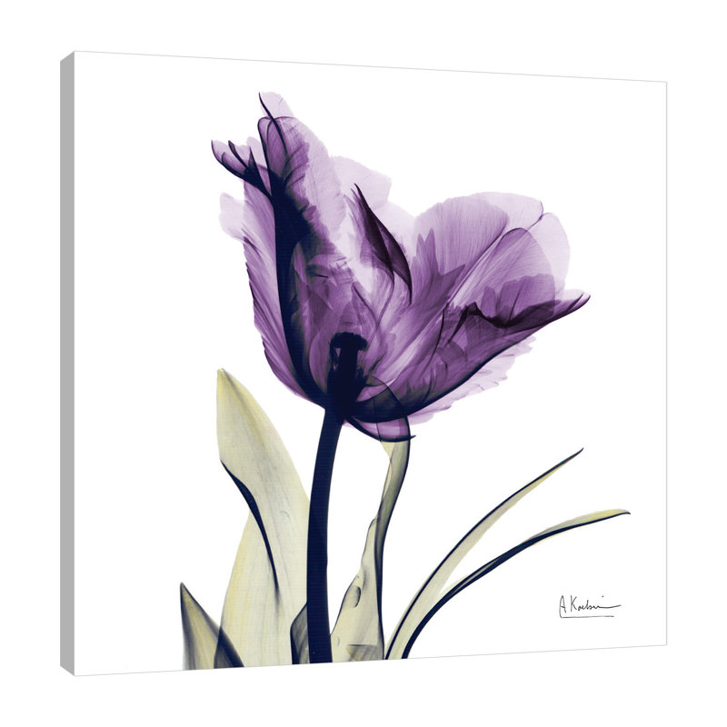 Tulip Dream - Wrapped Canvas Print, 46 cm H x 46 cm W