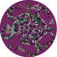 Napperon Ouroboros-118138289