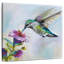 Colibri Brampt II-109214287