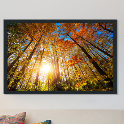 "Autumn Aura" Framed Photographic Print