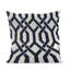 Coussin Plutus-103835591-103835592