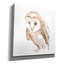 Millwood Pines «Barn Owl I» par Chris Paschke-397026008