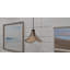 Luminaire suspendu noir mat 1 lumière Addylen