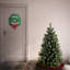 The Holiday Aisle® North Valley Spruce Tree-1548236847