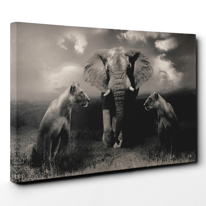 Wrapped Canvas Print, 40cm H x 60cm W