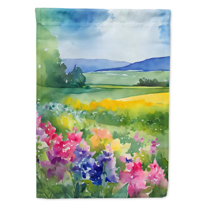 Drapeau de maison en polyester à double face H 40 po x l 28 po