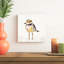 Lin Coastal Plover II-310238590-379427103-338646471