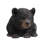Baby Black Bear Crawling