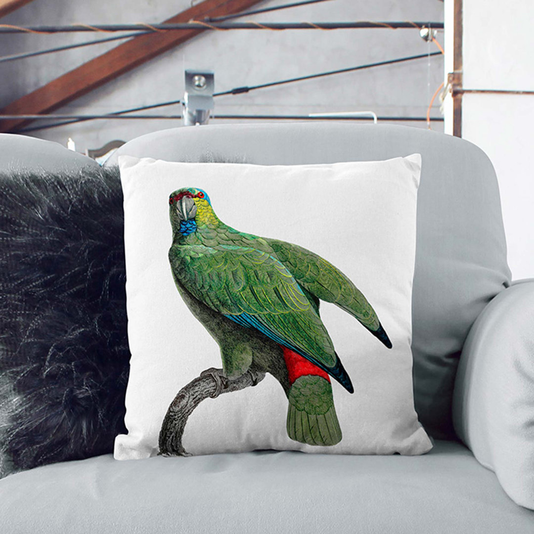 Festive Amazon Parrot by F. Levaillant Cushion with Filling