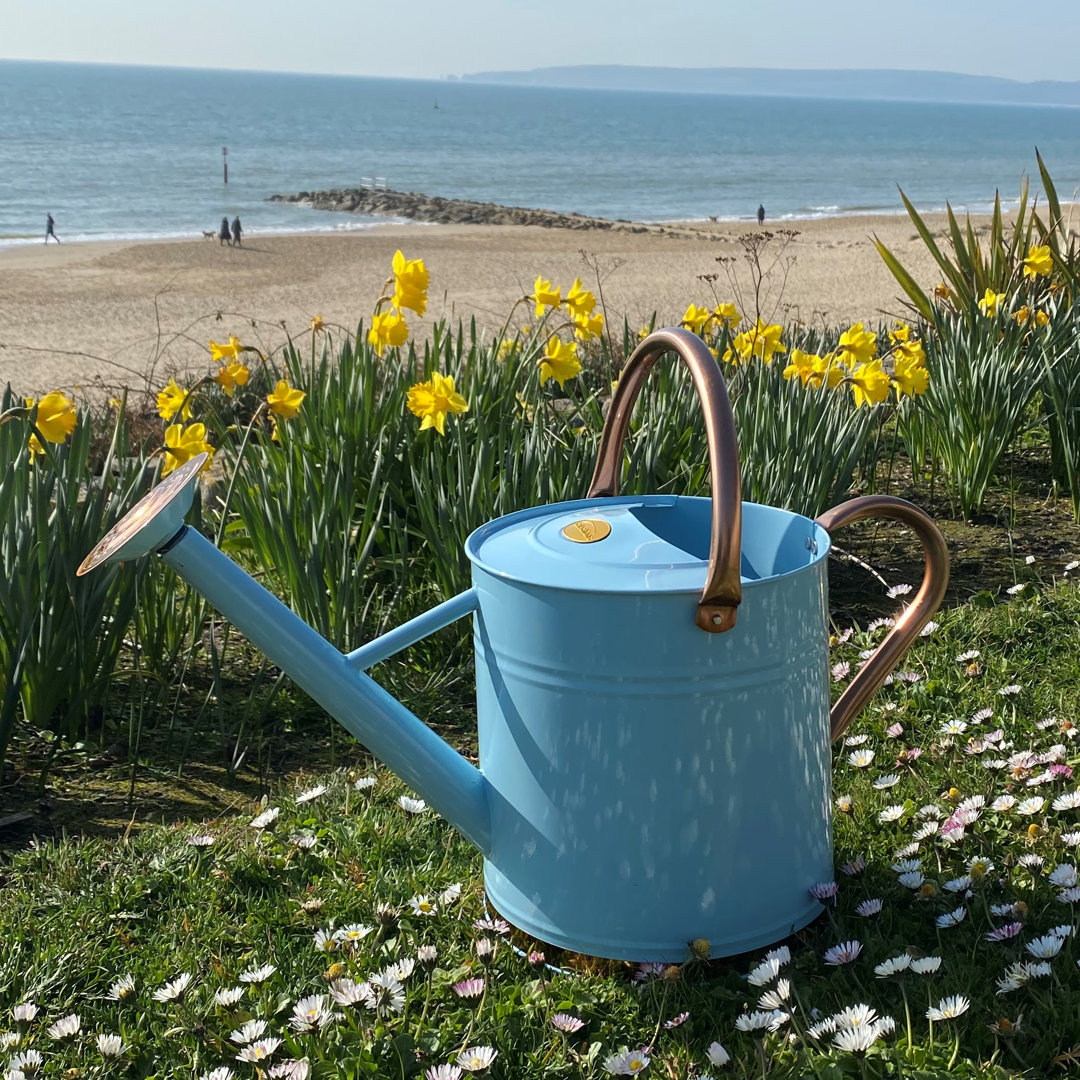 9 Litre Watering Can