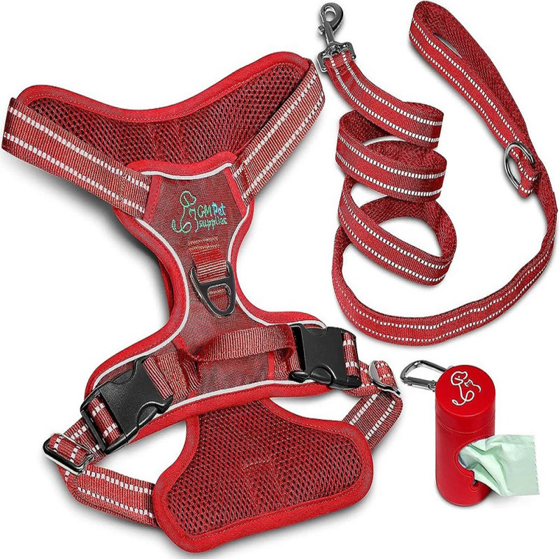 Ensemble de marche et laisse Katziela, L 1 po x P 16 po x H 1 po, Rouge