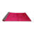 Oriental Indoor Rug-102580912