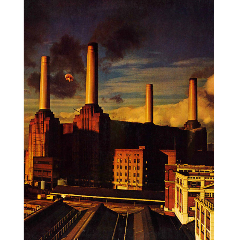 Pink Floyd - Animaux, H 45 po x l 36 po